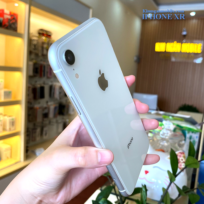 iPhone XR vẫn hoàn hảo đến từng 'đồng xu cắc bạc', giá chỉ 4 triệu mượt,  chụp đẹp như Galaxy S23